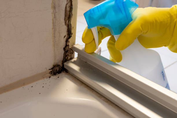 Best Toxic Mold Removal  in Ransom Canyon, TX