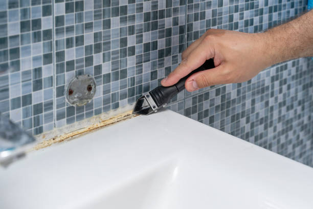 Best Attic Mold Removal  in Ransom Canyon, TX