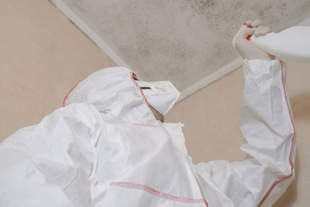 Best Same-Day Mold Removal  in Ransom Canyon, TX