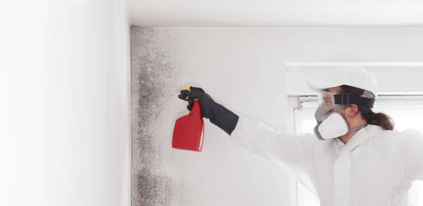 Best Mold Cleaning Services  in Ransom Canyon, TX
