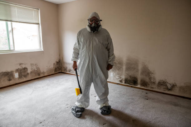 Best Professional Mold Removal  in Ransom Canyon, TX
