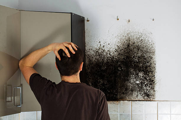 Best Office Mold Removal Services  in Ransom Canyon, TX