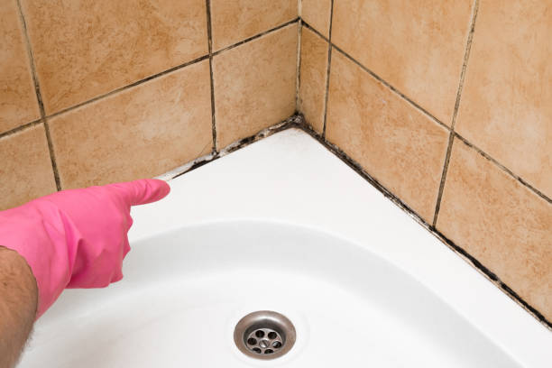 Best Mold Removal Near Me  in Ransom Canyon, TX